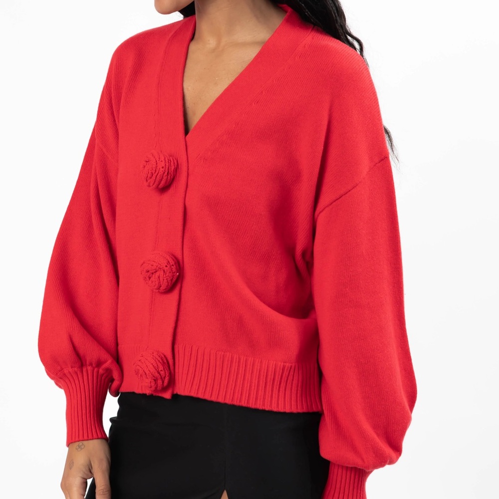 NWT Smash and Tess Cardigan